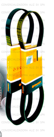 KIT CORREA Y ACCESORIO HYUNDAI TUCSON 2.0 2004-2010